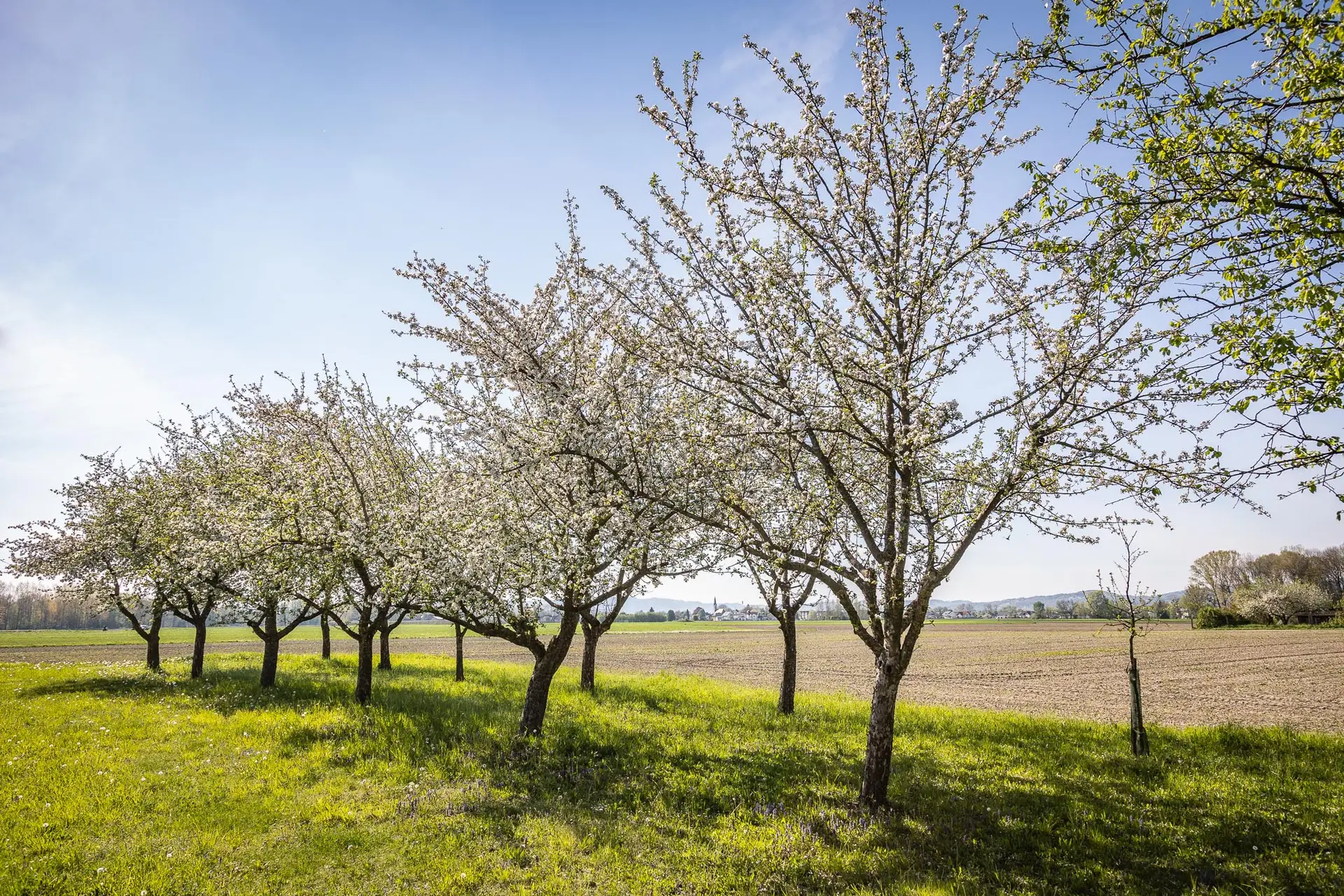 2021-05-08-Lackner-Werbefotos-AB-Photo-001_klein