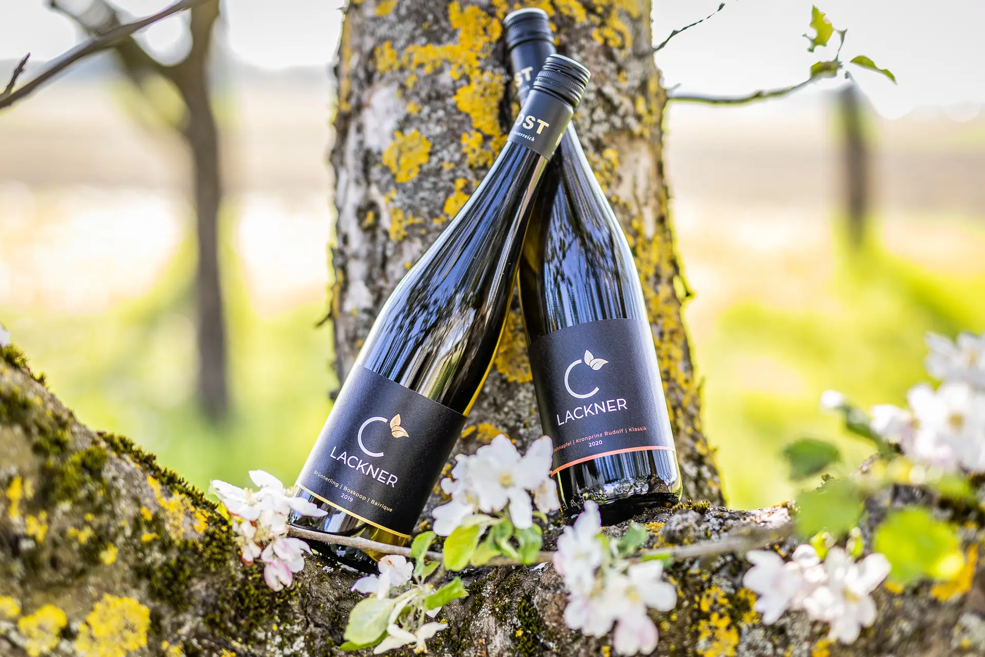 2021-05-08-Lackner-Werbefotos-AB-Photo-019_klein